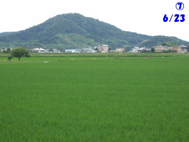 f0005081_21184220.jpg