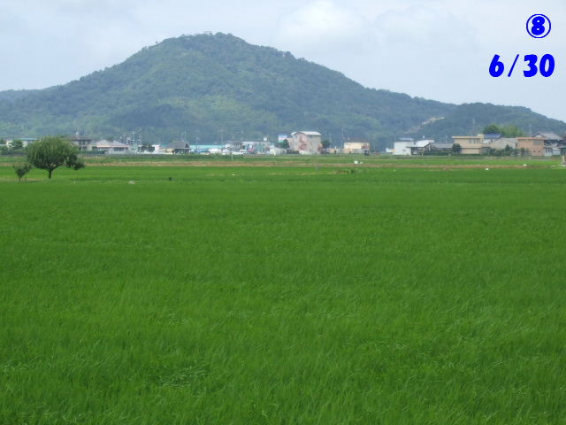 f0005081_2119861.jpg