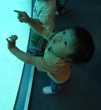 a0093282_9523100.jpg