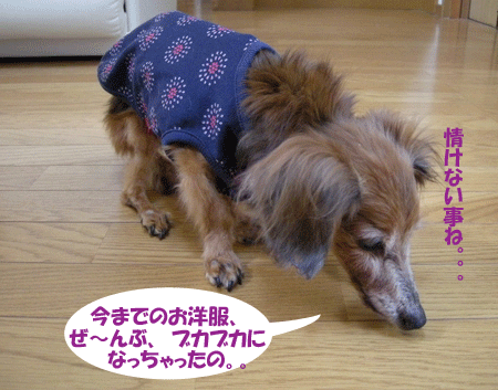 e0066883_20334598.gif