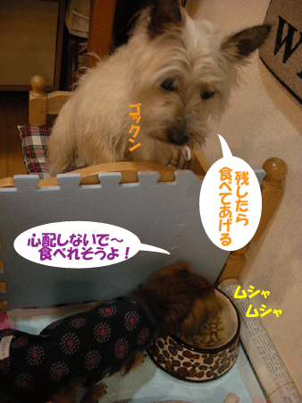 e0066883_20575859.gif