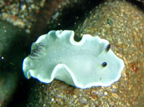 c0018489_075212.jpg