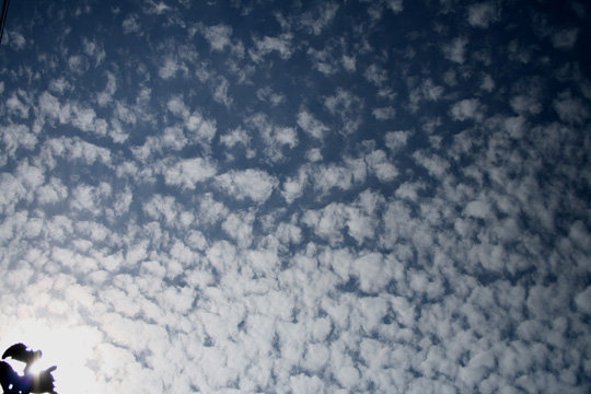 e0100589_164562.jpg
