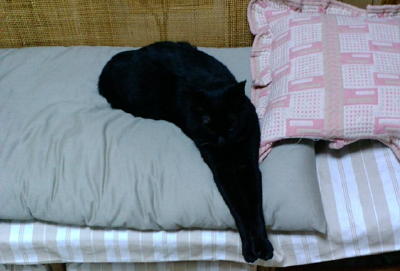 c0136090_20422275.jpg