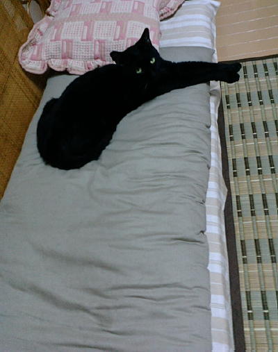 c0136090_2043015.jpg