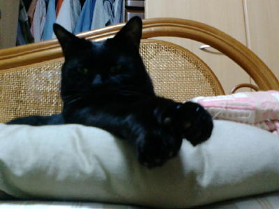 c0136090_2046795.jpg