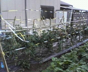 c0109891_22245955.jpg
