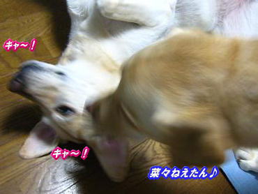 c0028792_011507.jpg