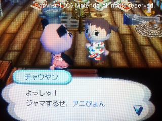 チャウヤン