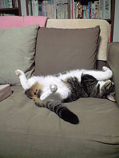c0035001_22223862.jpg