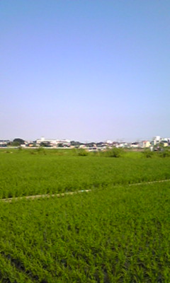 c0100901_21434395.jpg