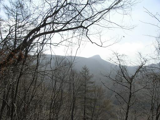 b0116703_2175127.jpg