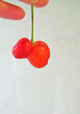 e0005603_1836831.jpg