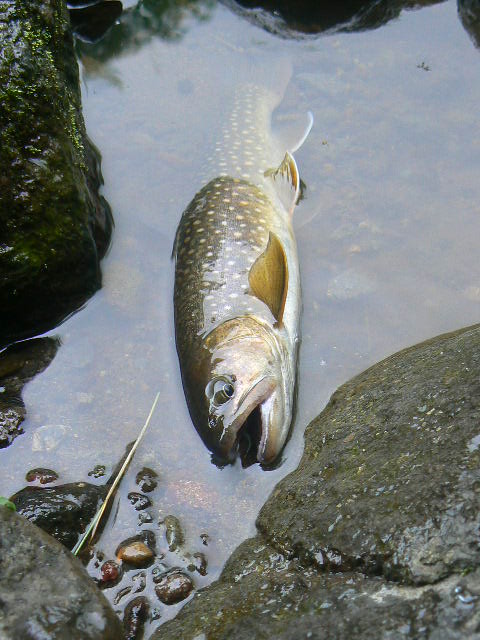 f0164503_0393692.jpg