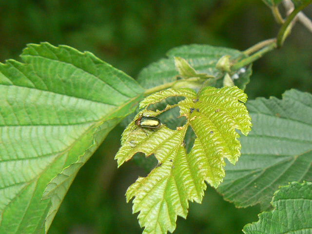 f0164503_052442.jpg