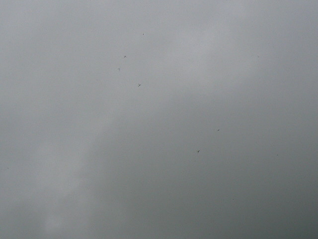 f0164503_0551668.jpg