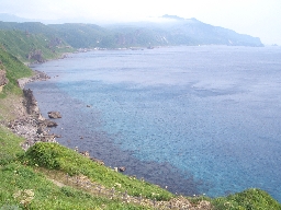 c0153606_23124288.jpg