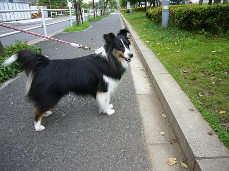 e0130008_21593381.jpg