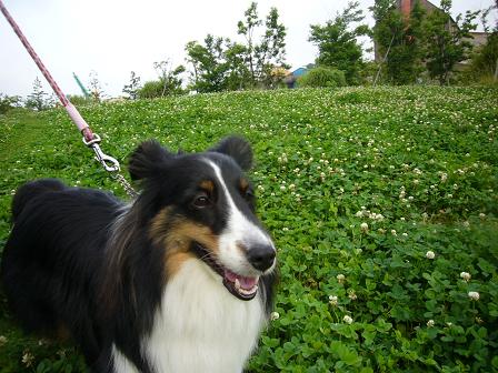 e0130008_2261056.jpg