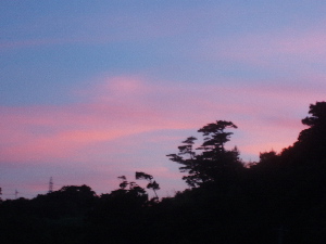 e0071811_2226826.jpg