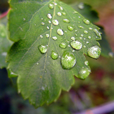 c0026612_082579.jpg