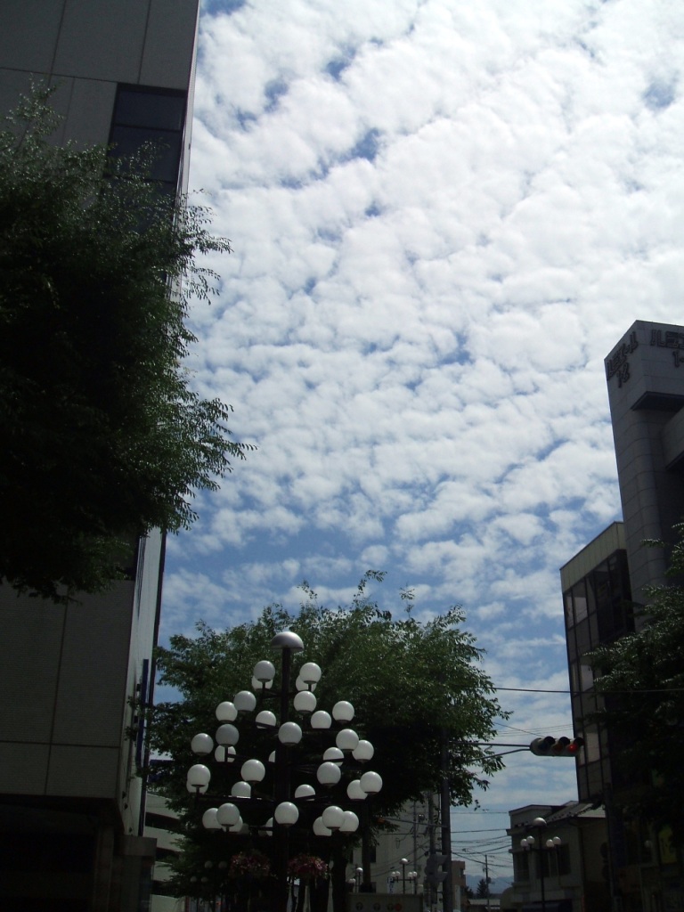 d0138212_17401049.jpg