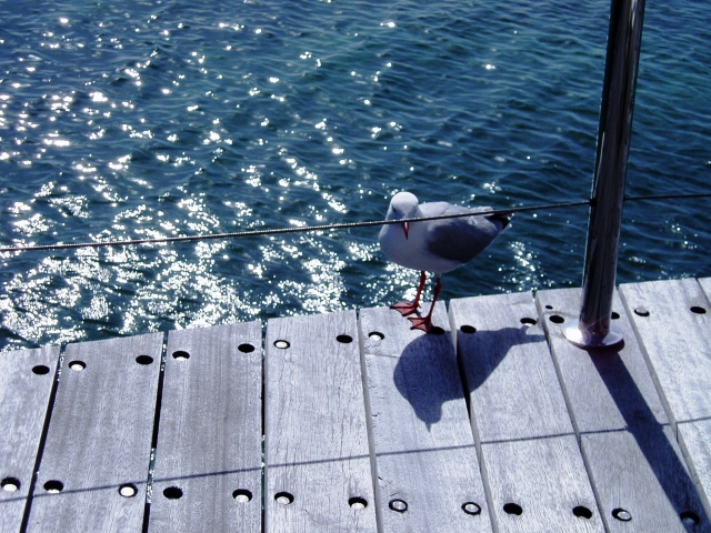 a0000014_945250.jpg