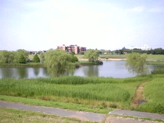 c0034615_22543545.jpg