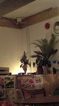 b0145616_0592788.jpg