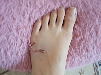 c0145016_20411190.jpg