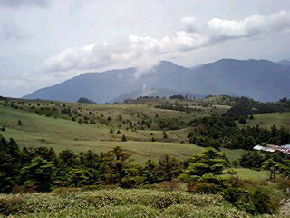e0002820_22365418.jpg