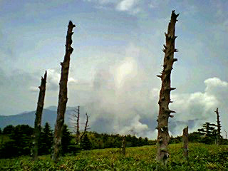 e0002820_2248576.jpg