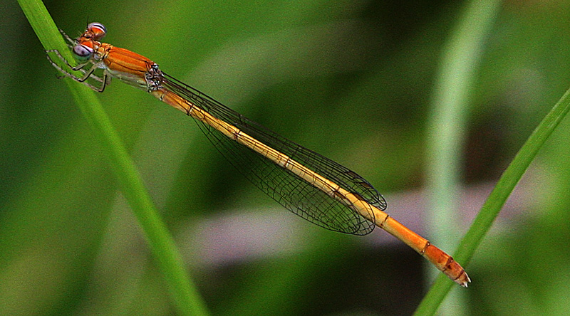 f0161823_17171358.jpg