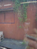 e0029132_170185.jpg