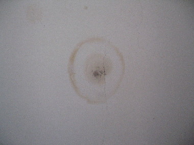 f0068334_12363728.jpg