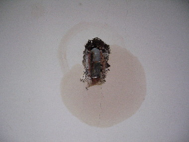 f0068334_1240518.jpg