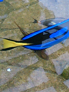 e0062635_1131928.jpg