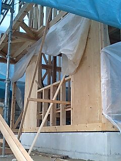 f0071840_16234184.jpg