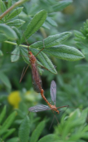 e0104941_039141.jpg