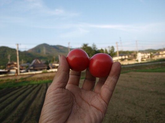 c0072843_2014188.jpg