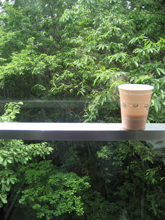 c0003752_215186.jpg