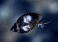 c0138553_10392052.jpg
