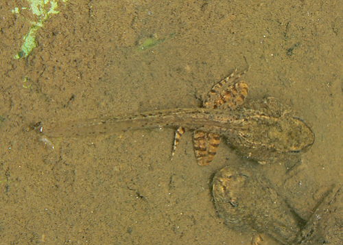 d0091754_0374537.jpg