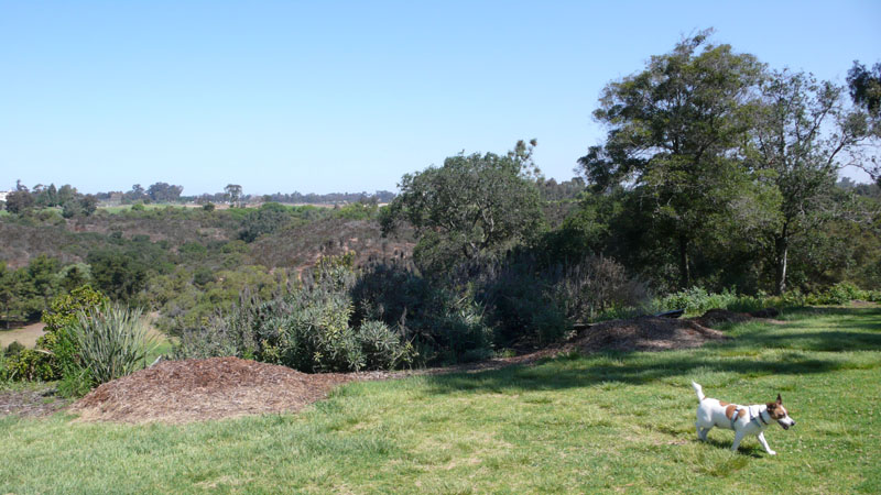 f0013255_6545235.jpg