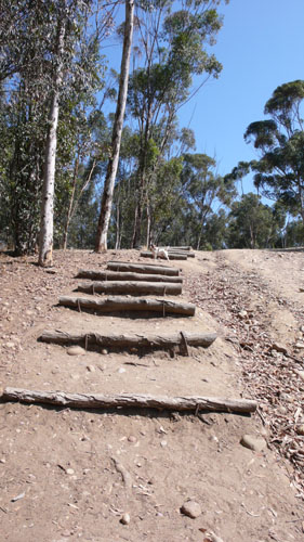 f0013255_6552287.jpg