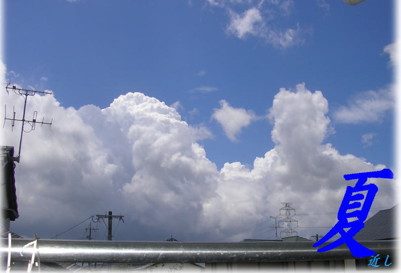 f0178858_112209.jpg