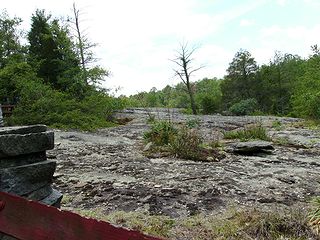b0148991_12452046.jpg