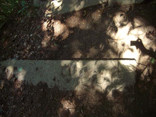 b0099994_718661.jpg