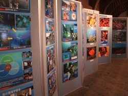 f0048405_1515393.jpg