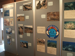 f0048405_152520.jpg